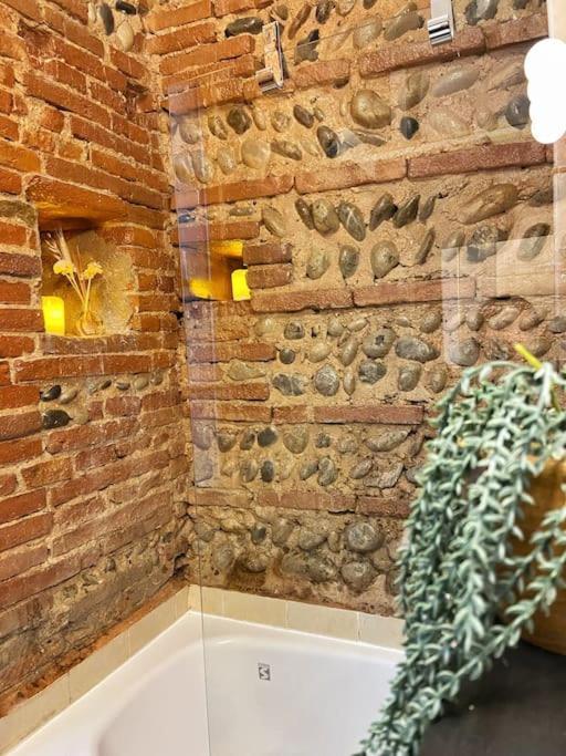 Cocon Cosy Dans La Ville Rose Toulouse Bagian luar foto