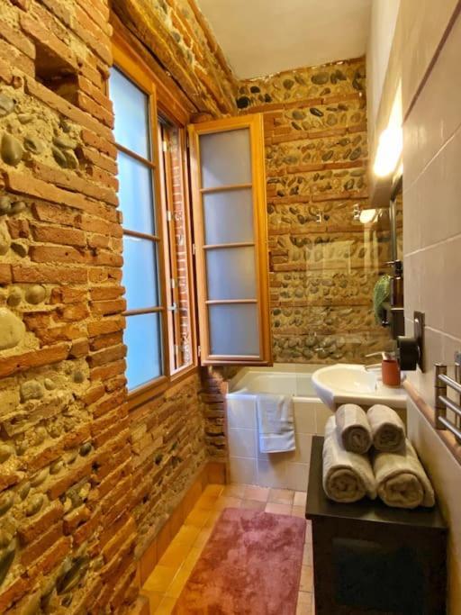 Cocon Cosy Dans La Ville Rose Toulouse Bagian luar foto