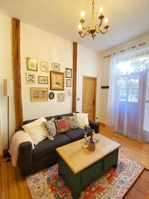 Cocon Cosy Dans La Ville Rose Toulouse Bagian luar foto