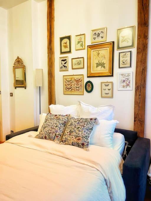 Cocon Cosy Dans La Ville Rose Toulouse Bagian luar foto
